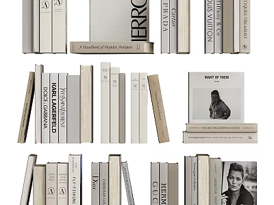 Collection of Stacked and Standing Books with Various Magazine Covers and Titles 3d model