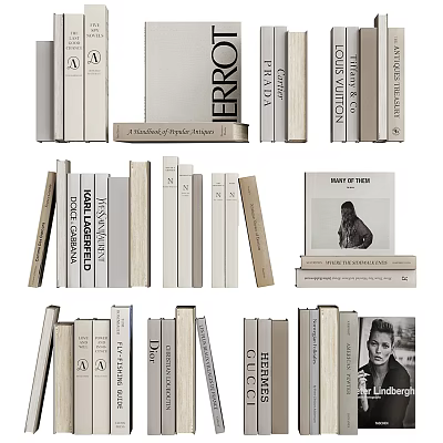 Collection of Stacked and Standing Books with Various Magazine Covers and Titles 3d model