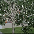Modern School Building With Red White Exterior Tower Basketball Court And Surrounding Trees