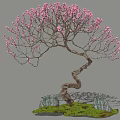 Ornamental Tree with Pink Blossoms Twisted Trunk Surrounded by Rocks and Green Grass