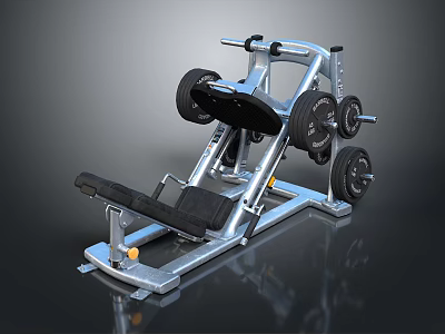Professional Leg Press Gym Fitness Equipment With Metal Frame Black Seat And Weight Plates 3d model