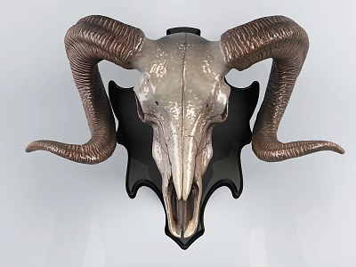 Decorative Ram Skull Animal Wall Decor With Large Curved Horns Mounted Design 3d model