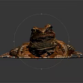 Brown Spotted Frog Sitting On White Tissue With Detailed Limbs And Eyes