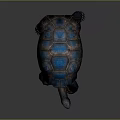 Turtle Cartoon Turtle Snapping Turtle Chickbill Turtle Reptile Cold Blooded Animal Reptile Class 3d model