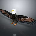 3D Rendering Of Majestic Eagle Spreading Wings With White Head Black Feathers And Yellow Talons
