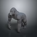 Realistic 3D Gorilla Model With Muscular Body And Standing Pose 3d model