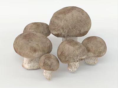 Mushrooms 3d model