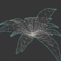 Lush Green Fern Bush with Feathery Leaves Isolated on Black Background