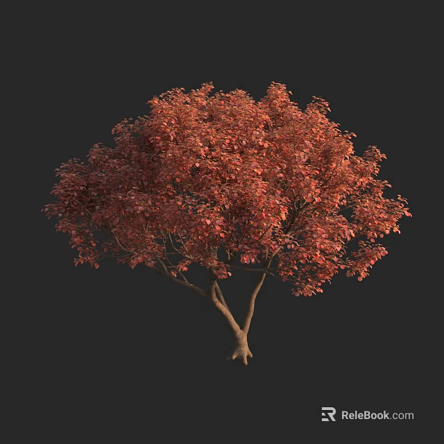 Deciduous Tree With Vibrant Red Foliage And Sturdy Brown Trunk 3d model 