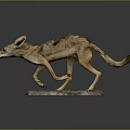 Realistic Taxidermy Jackal Figure In Walking Pose On Natural Stone Base
