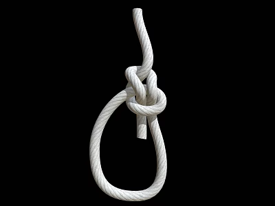 White Braided Rope Knot Forming Loop Shape On Black Background With Textured Detail 3d model
