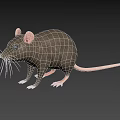 Realistic 3D Gray Rat Model With Pink Ears Long Whiskers And Pink Tail