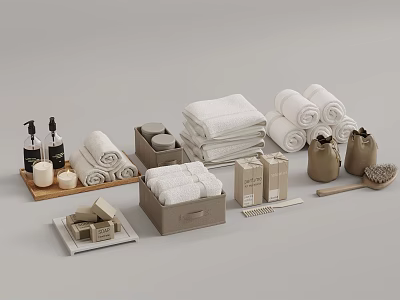 Washing Daily Essentials Collection Including Towels Soap Bottles Storage Boxes And Brushes 3d model