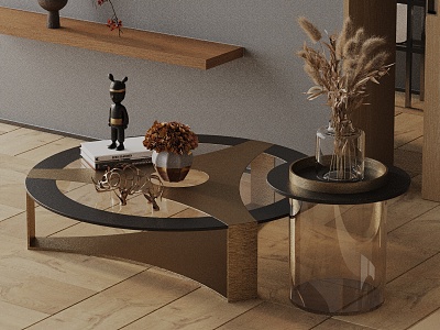 Modern coffee table model