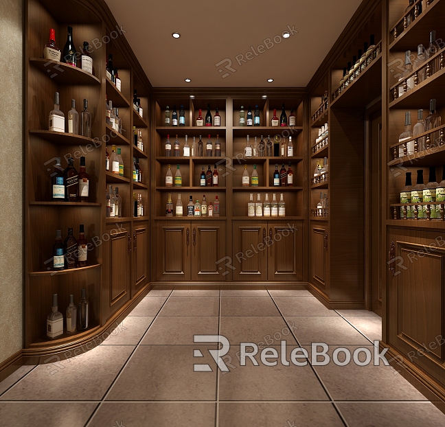 Modern wine cellar model