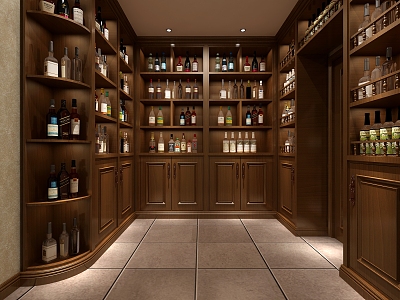 Modern wine cellar model