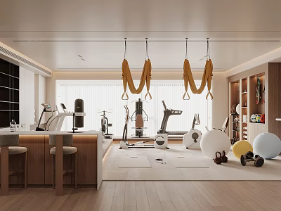 Modern Fitness Studio With Suspension Straps Dumbbells And Workout Equipment 3d model