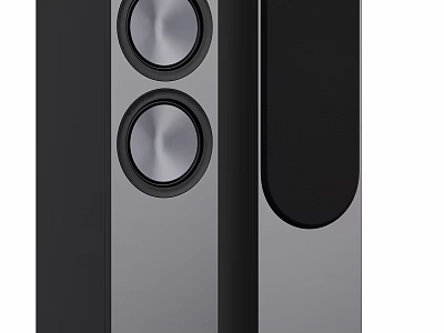 Stylish Modern Tower Speakers With Dual Circular Drivers And Black Gray Finish 3d model