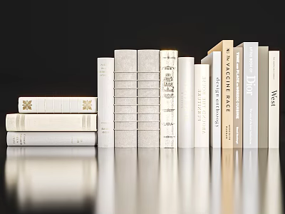 Elegant Decorative Books Ornament Set With Neutral Tones Various Designs And Neat Arrangement 3d model