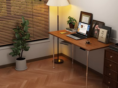 Decorative Ornament Set with Table Lamp Green Plant and Photo Frames on Wooden Desk 3d model