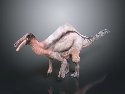 Feathered Dinosaur With Long Beak 3D Rendered Model Isolated On Gray Background 3d model