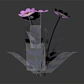 Four Pink Flowers With Yellow Centers And Purple Leaves On Stems Against Dark Background