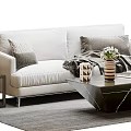 Modern double sofa coffee table combination 3d model
