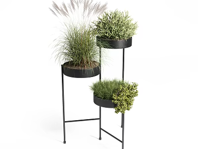 Elegant Bonsai Potted Plants on Three Tier Black Metal Plant Stand with Various Green Foliage 3d model