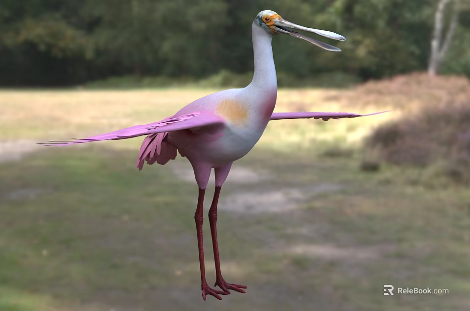 Pink and White Bird with Long Beak Long Legs and Spread Wings in Grassland Woodland 3d model 