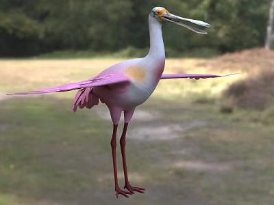 Pink and White Bird with Long Beak Long Legs and Spread Wings in Grassland Woodland 3d model