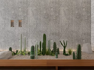 Cactus Bonsai Potted Plants With Gravel Stones On Wooden Shelf And Gray Wall 3d model
