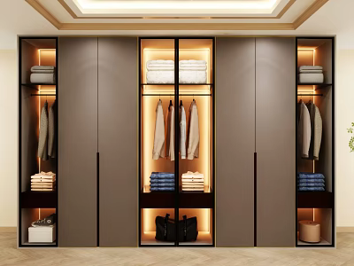 Modern Sleek Wardrobe Design Featuring Glass Doors Built in Lighting And Storage Solutions 3d model