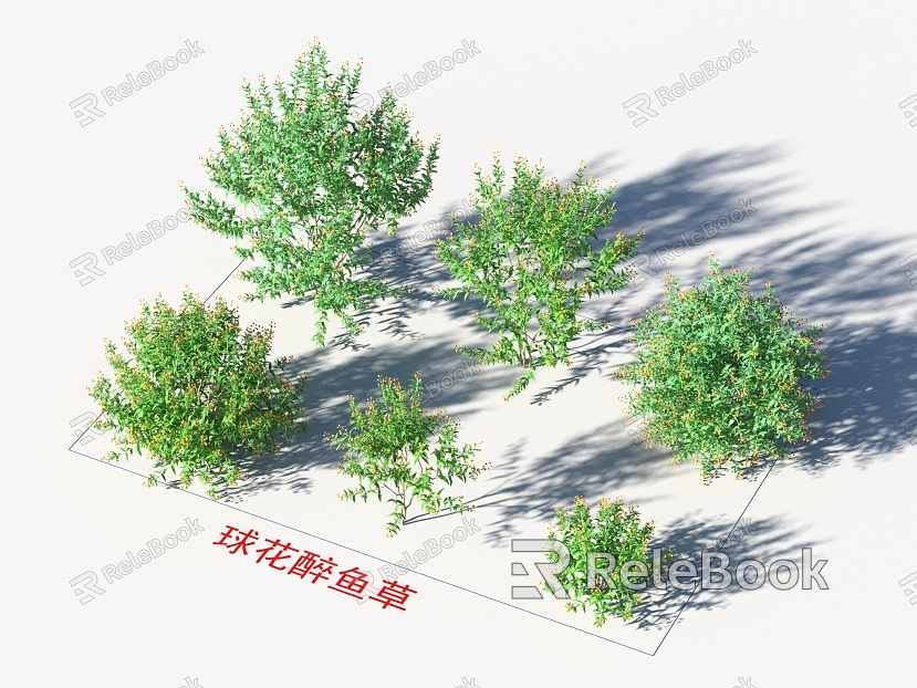 Blossom-flower-flower-flower plants model