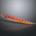 Slender Red And White Striped Eel On Dark Background With Clear Reflection 3d model