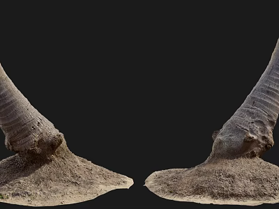 stump 3d model stump 3d model