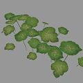Beautiful Natural Scenery With Green Lotus Leaves And Yellow Flowers On Calm Water
