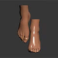 Detailed Human Foot Organ Model With Anatomical Structure And Realistic Design