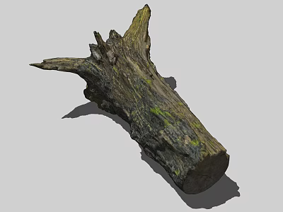 Stone Wood Log Featuring Weathered Texture Irregular Shape and Rough Surface 3d model