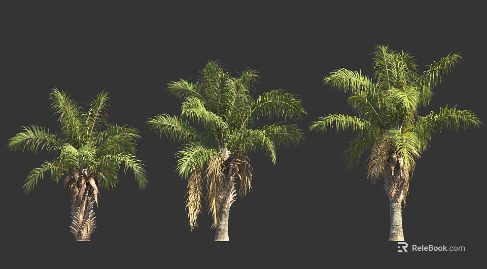 Three Palm Trees With Varied Green Leaves And Natural Trunks In Design 3d model 