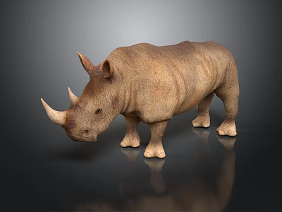 Realistic Brown Rhinoceros With Single Horn Standing On Dark Background With Reflection 3d model