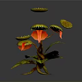 Vibrant Tropical Carnivorous Plant Featuring Orange Pitchers Yellow Lids And Green Leaves