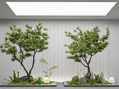 Modern landscape sketch courtyard sketch plant landscaping rockery stone indoor landscape plant pile ferns model