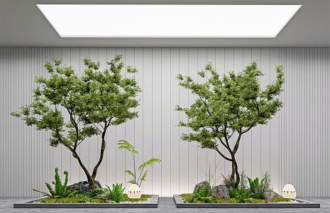 Modern landscape sketch courtyard sketch plant landscaping rockery stone indoor landscape plant pile ferns 3d model