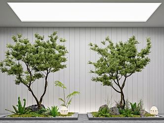 Modern landscape sketch courtyard sketch plant landscaping rockery stone indoor landscape plant pile ferns 3d model