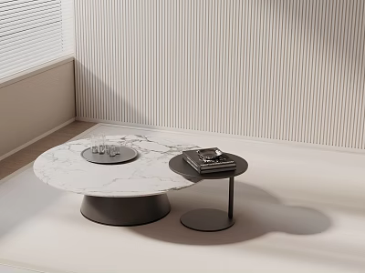 Elegant Modern Sofa Coffee Table Set With Round Marble Top And Side Table Books 3d model