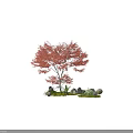Natural Garden Ornament with Red Leaved Tree Stones Moss and Mushrooms