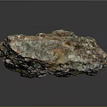 Wood Stone Natural Mineral With Blue Crystal Inclusions And Rough Surface Texture