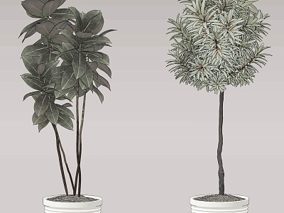 modern potted plant model