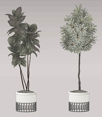 modern potted plant 3d model