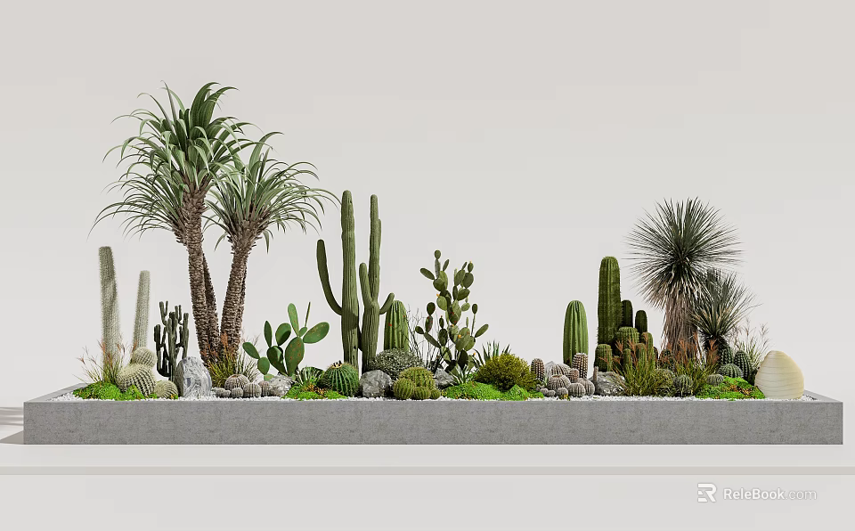 Bonsai and Potted Plants Featuring Various Cacti Succulents on Gray Platform with Stones 3d model 